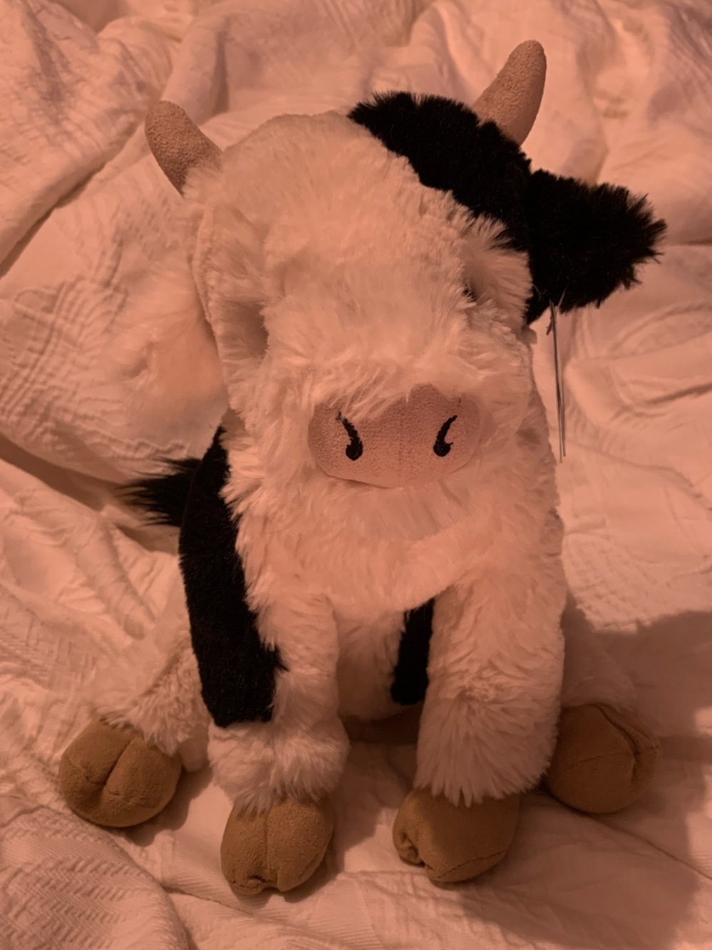 Jellycat medium Carey cow - White and Black Stuffed Animal